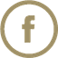 Facebook Icon