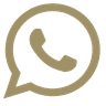 WhatsApp Icon