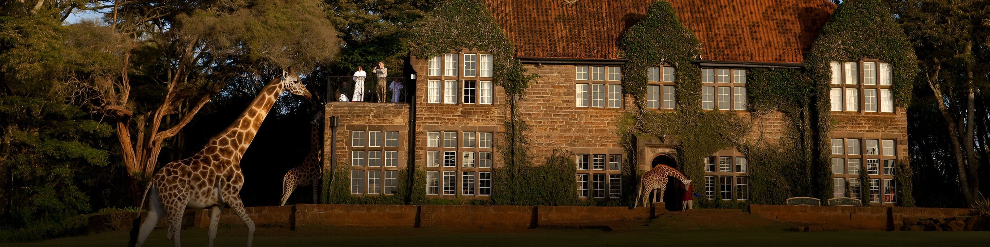 Giraffe Manor